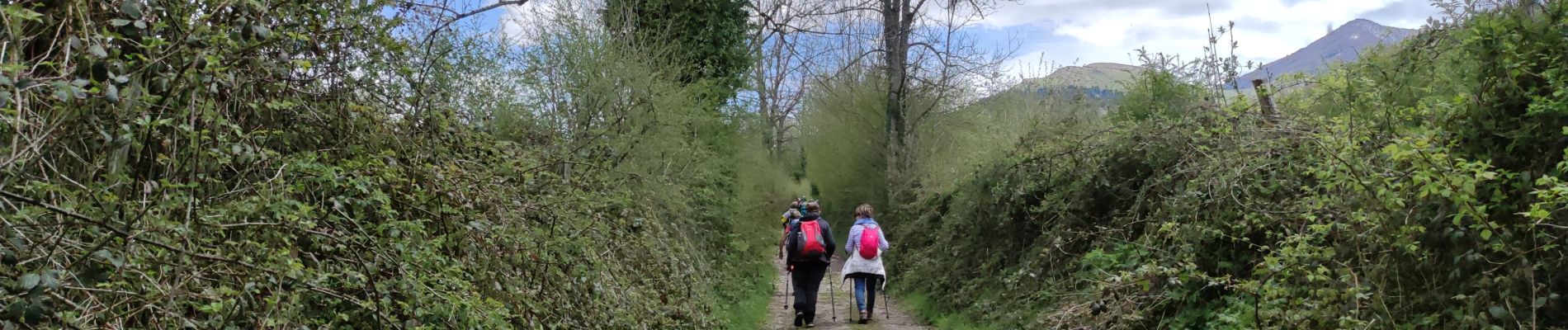 Percorso Marcia Bilhères - BILHERES en OSSAU Autour du turon de Tecouere G4 