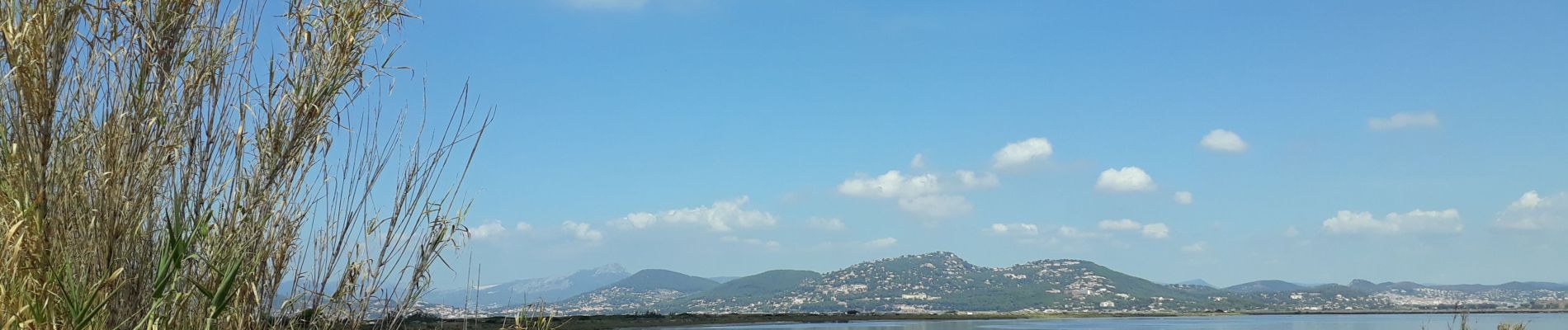 Tocht Stappen Hyères - La Badine sentier côtier Hyères  - Photo