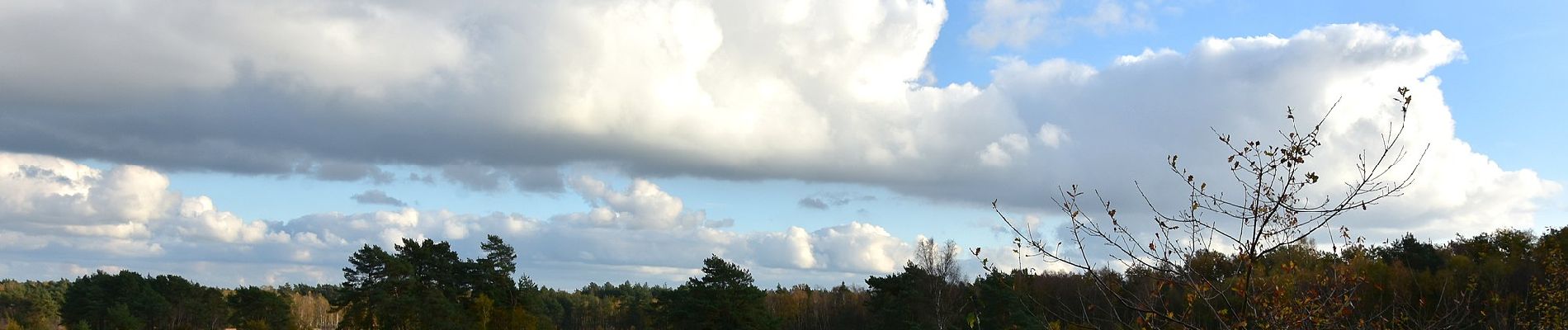 Percorso A piedi Lanaken - La Butte aux Bois Groene rechthoek - Photo