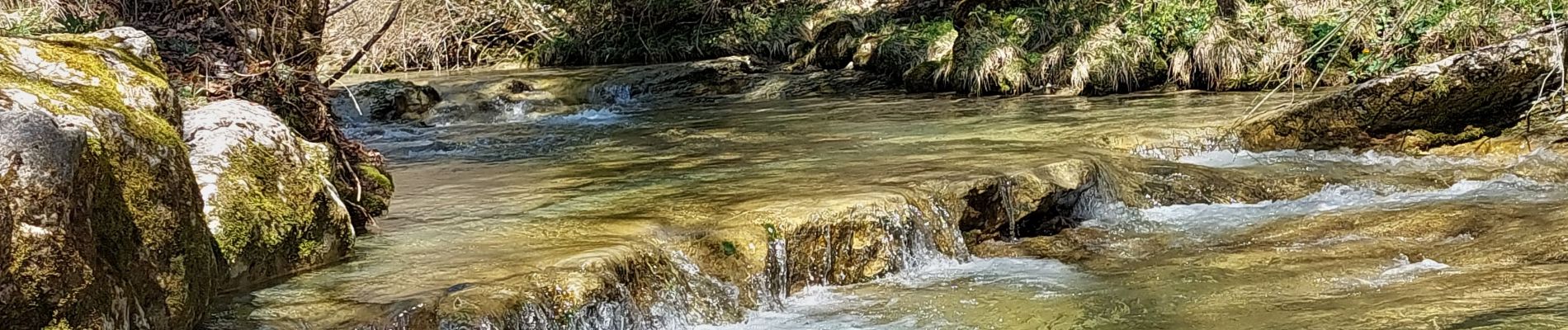 Trail Walking Saint-Pierre-d'Entremont - Saint Pierre d'Entremont- le long du Cozon- Epernay - Photo