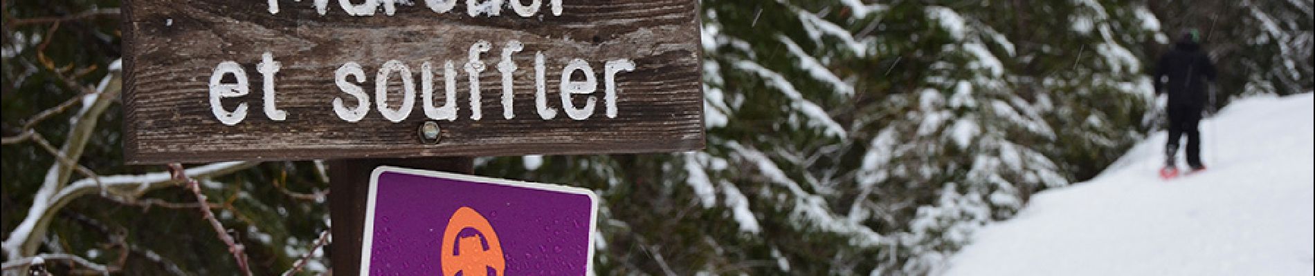 Excursión Raquetas de nieve Uvernet-Fours - Pra Loup - Clos des Serres - Photo