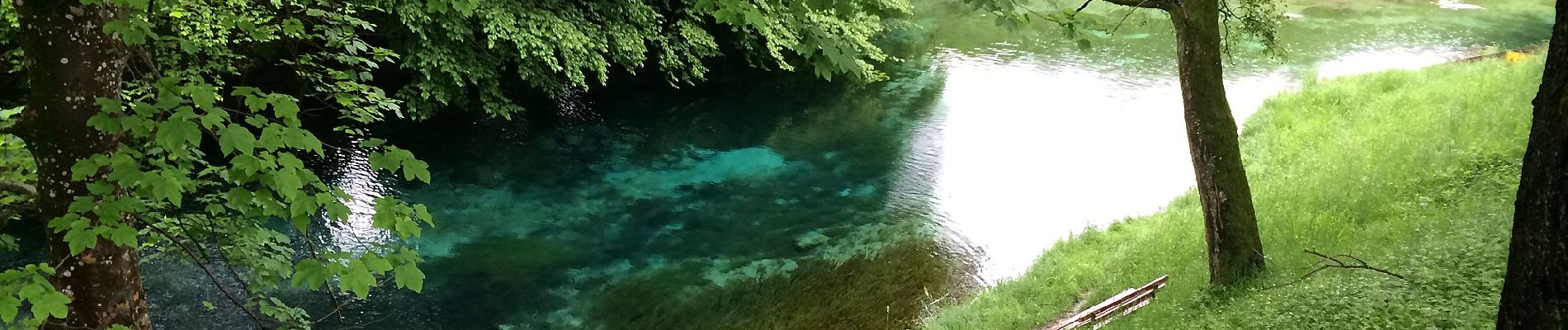 Percorso A piedi Gemeinde Erl - Schönau-Runde - Photo