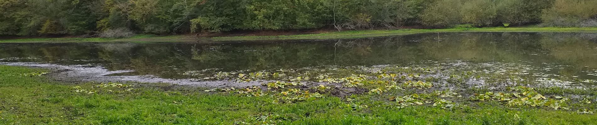 Trail Walking Cussey-sur-l'Ognon - vallée de l'ognon Cussey - Photo