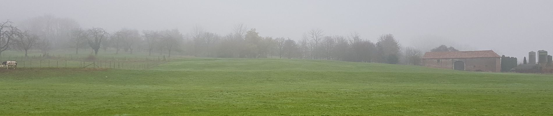 Tocht Stappen Borgloon - Borgloon - Photo