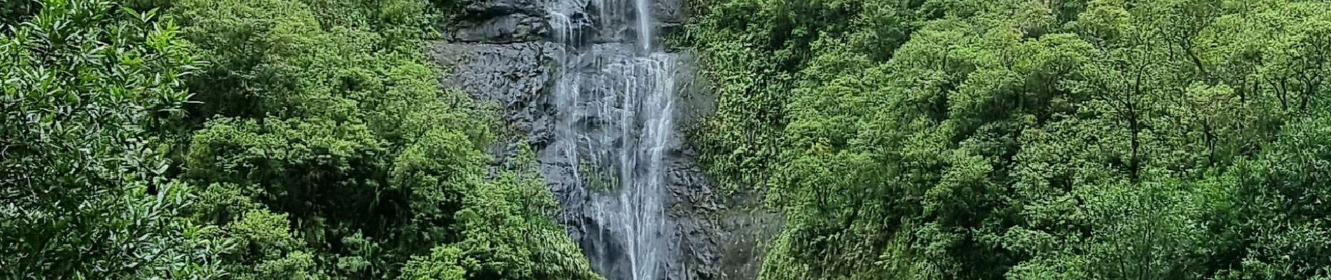 Randonnée Marche Salazie - cascade blanche - Photo