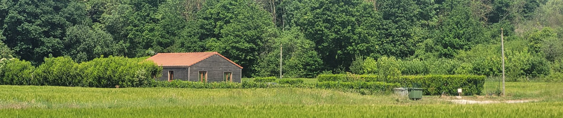 Tour Wandern Chaumes-en-Brie - Châteaux autour de Chaumes en Brie - Photo