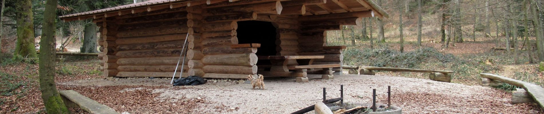 Tour Wandern Pfirt - Ferrette Chalet de Koestlach au Kastelberg - Photo