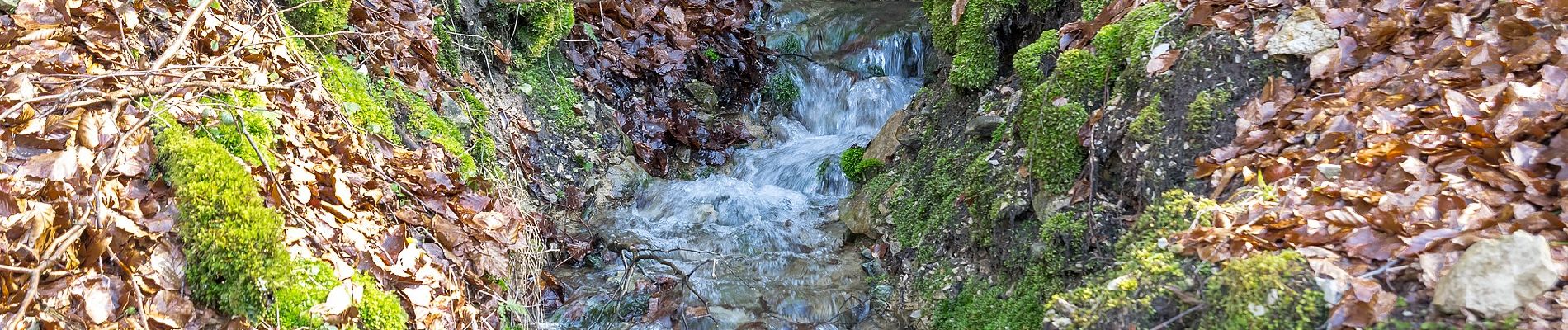 Excursión A pie Detmold - Rundwanderweg [Gauseköte] - Photo