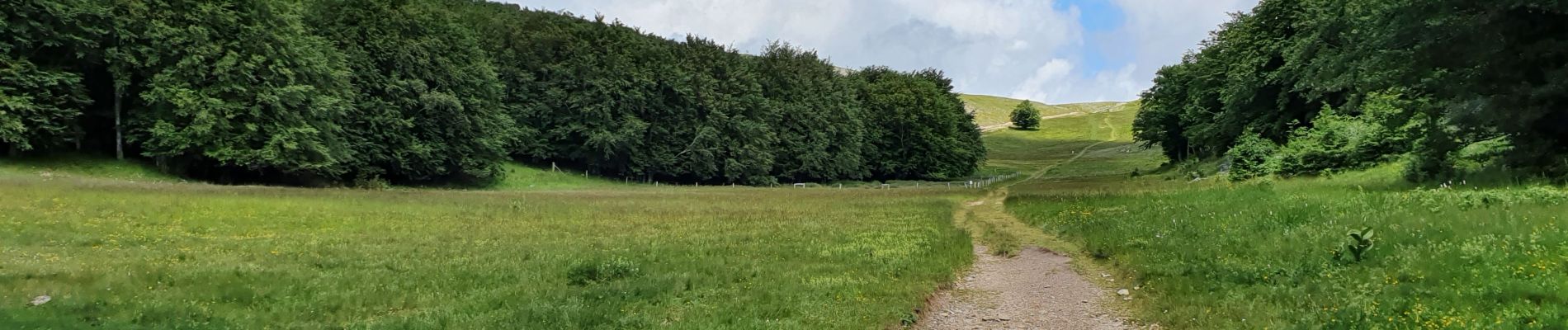 Randonnée Marche Chamaloc - RA Rocher de Chironne - Photo