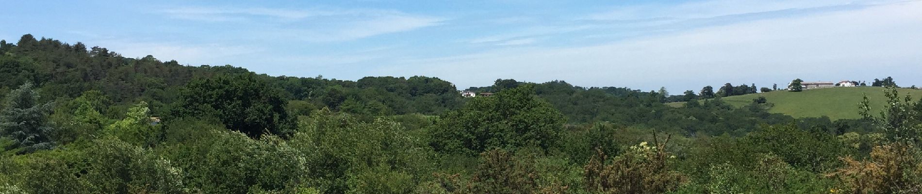 Tour Wandern Jatxou - Jatxou Hasparren Landes d'Errobi - Photo