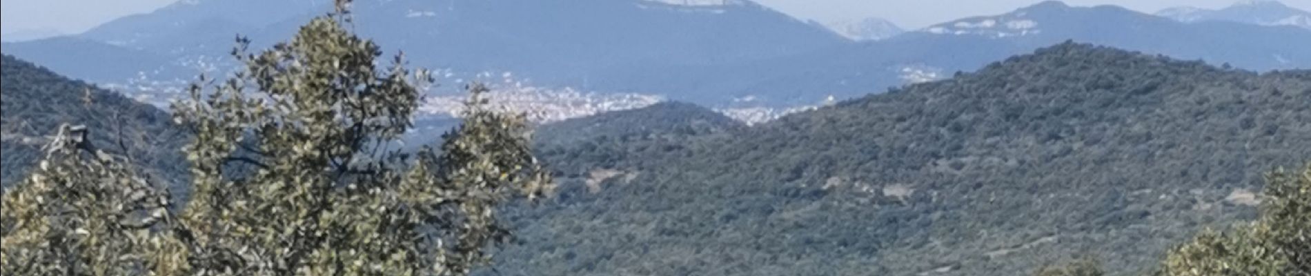 Tocht Stappen Hyères - les Borel les 2 - Photo