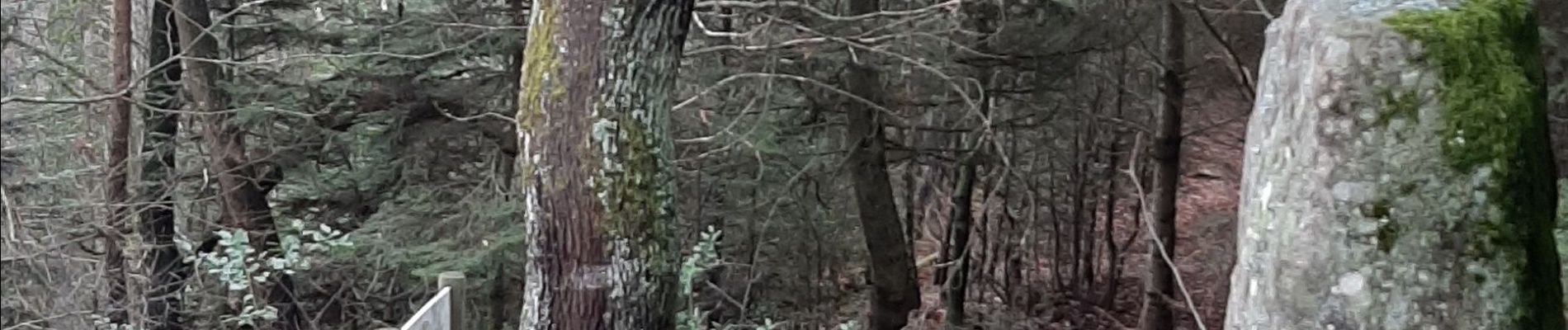 Randonnée Marche Mollkirch - sentier des demoiselles de Pierre - Photo