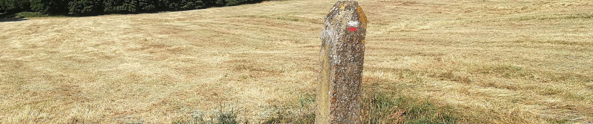 POI Ittre - Monolithe dans la prairie (GR12) - Photo