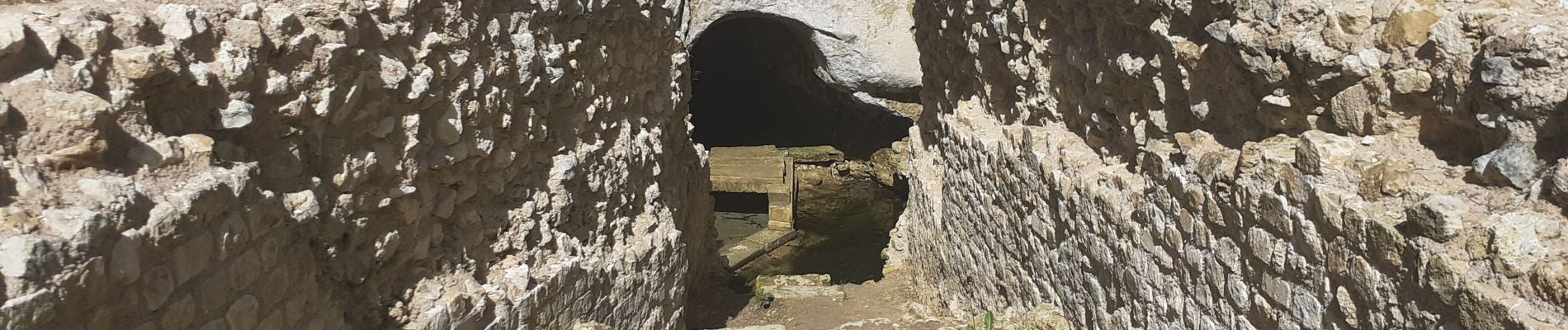 Tour Wandern Écoyeux - la roulerie - Photo