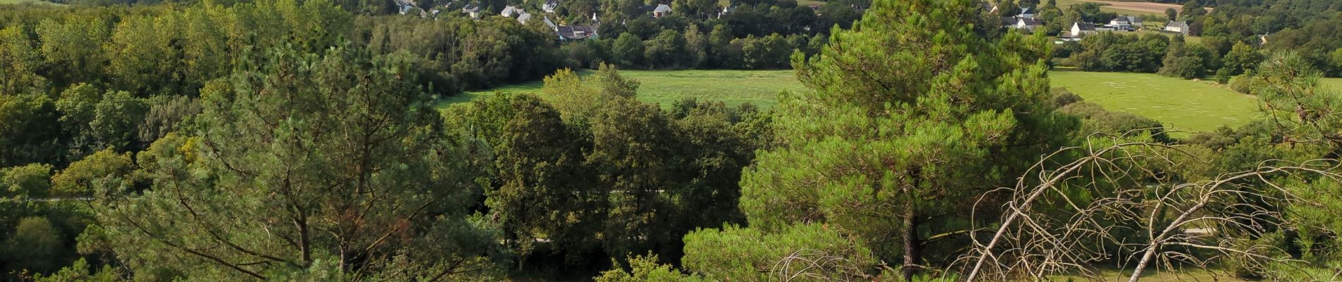 Excursión Senderismo Bains-sur-Oust - la baulouise par la potinais - Photo