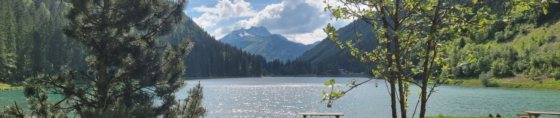 Randonnée Marche Montriond - Lac de Montiond et cascade de l Ardent - Photo