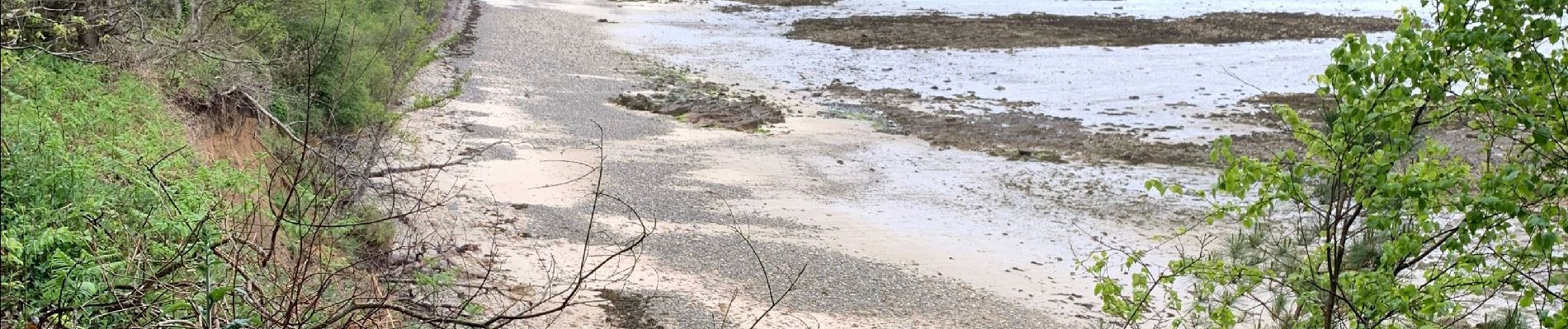 Randonnée Marche Perros-Guirec - Perros guirrec 2 Est - Photo