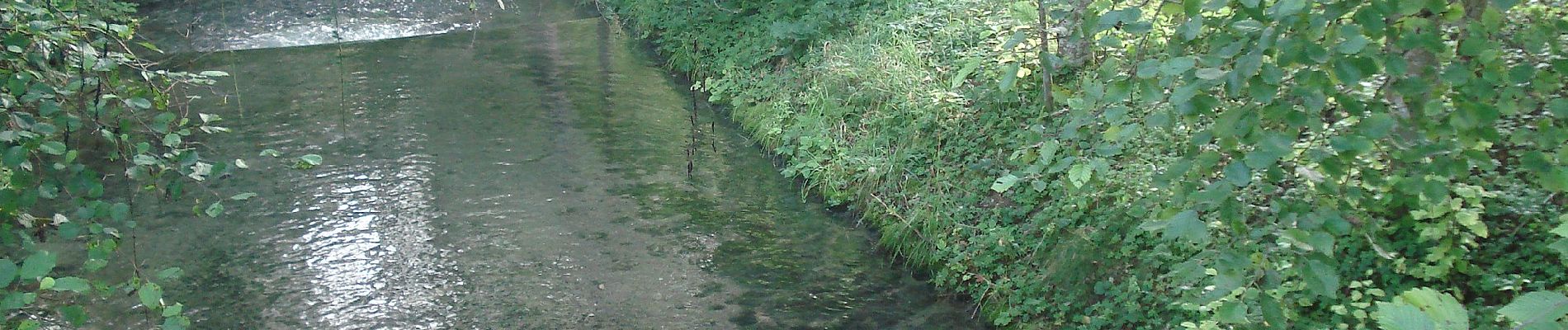 Trail On foot Rottenburg am Neckar - Krreuzerfeld-Bad Nidernau - Photo