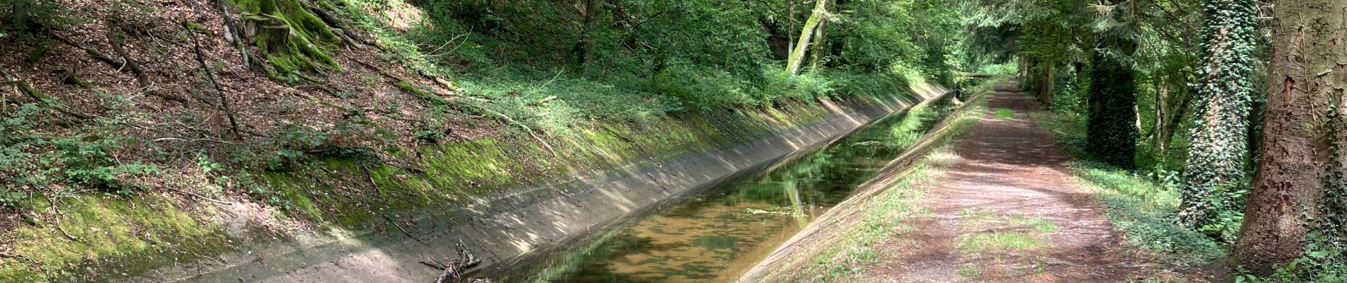 Trail Walking Saint-Nabord - ST Nabord - Noirgueux - Moselle - Photo