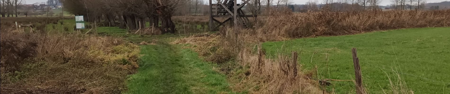 Trail Walking Glabbeek - Bunsbeek - Photo