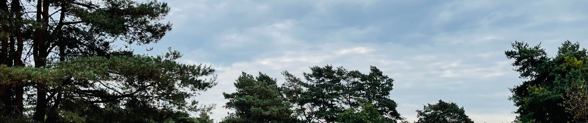 Tocht Stappen Zonhoven - de-wijers-de-teut-instapplaats-donderslagseweg-blauw - Photo