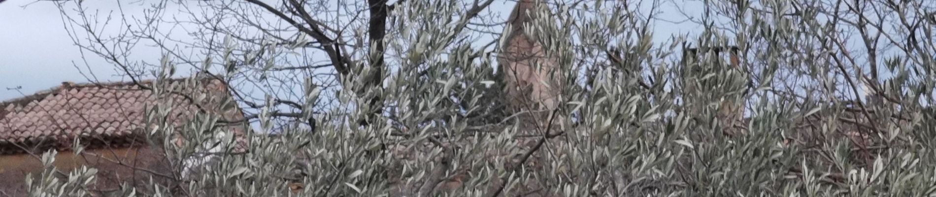 Tocht Stappen Fontarèches - Boucle Fontarèches - La Brugière - Photo