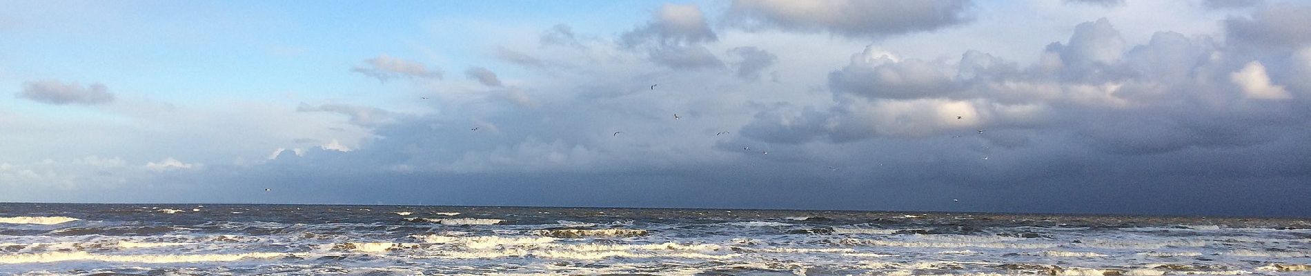 Randonnée A pied Noordwijk - Langeveldwandeling - Photo