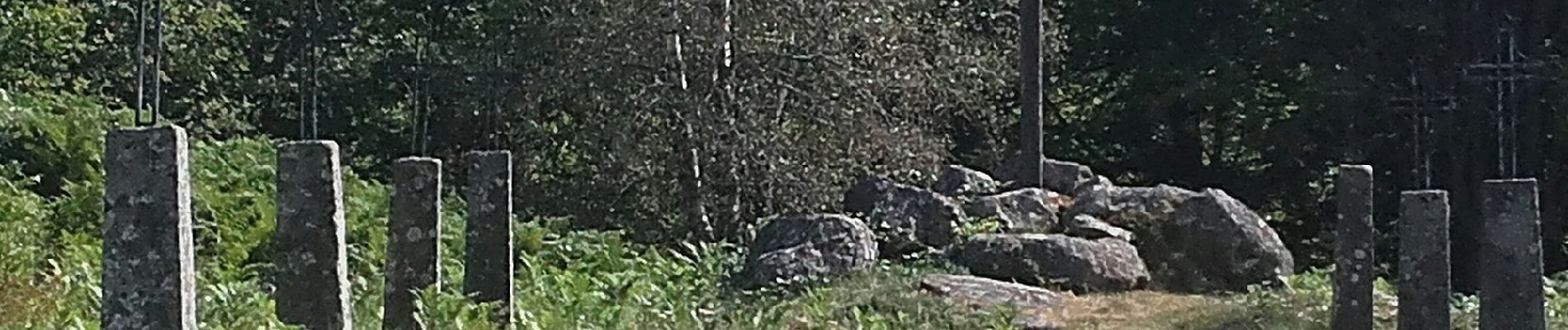 Excursión A pie Chambon-sur-Dolore - Du pas de Gargantua aux 3 gouttes de sang - Photo