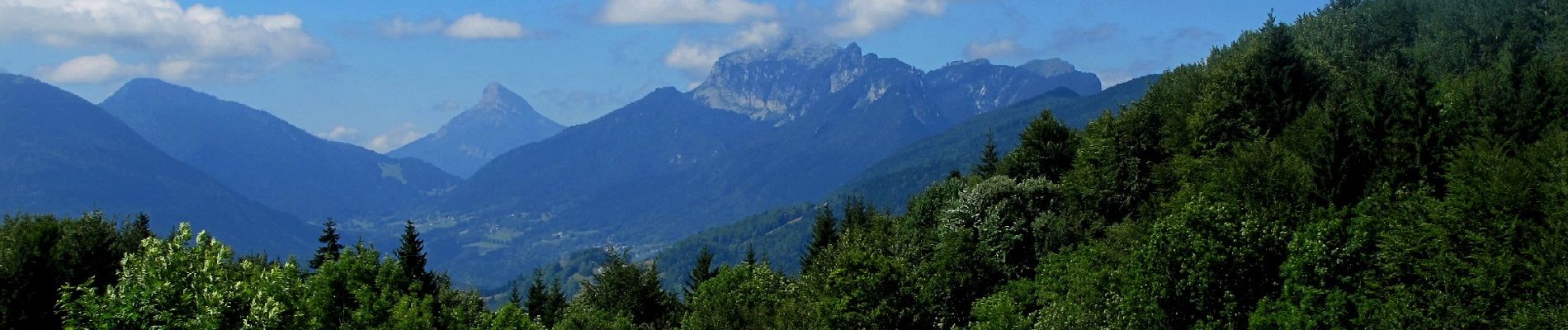 Tour Wandern Apremont - mt joigny   pte de la gorgeat - Photo