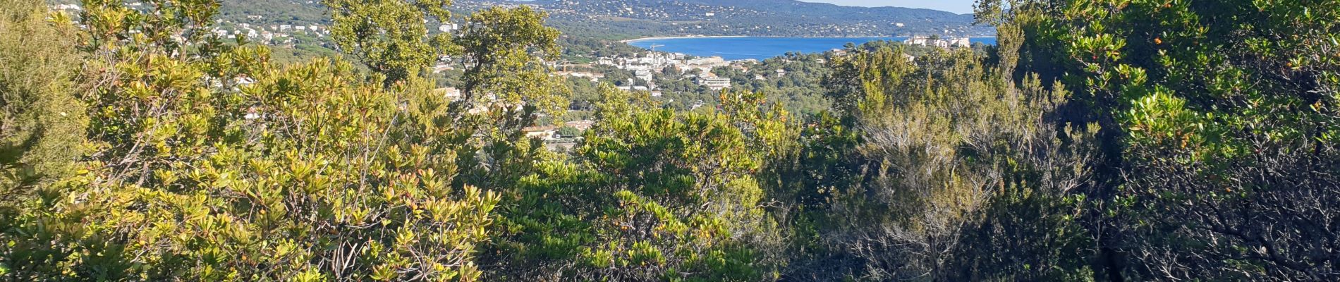 Excursión Ruta Cavalaire-sur-Mer - cavalaire, corniche des maures  - Photo