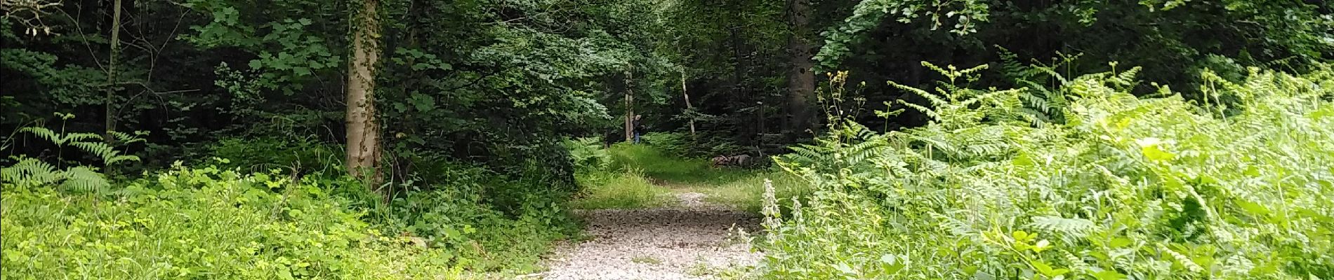 Excursión Senderismo Seraing - Famelette Roches aux faucons Beauregard - Photo