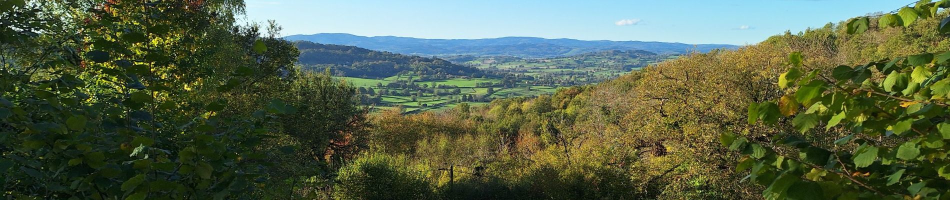 Tocht Stappen Uchon - Veauvillard - Velle - Photo