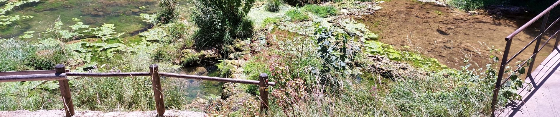 Excursión Senderismo Baume-les-Messieurs - La cascade des Tufs - Photo