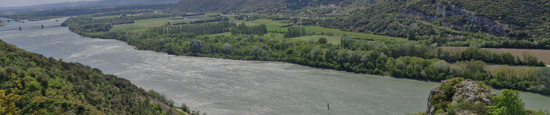 Tour Wandern Châteauneuf-du-Rhône - Châteauneuf-du Rhône : Bois de Belle Eau le Rac 12km. - Photo