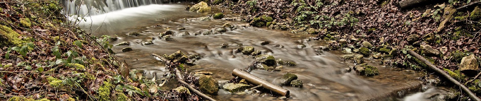 Percorso A piedi Hauenstein-Ifenthal - Hauenstein - Challhöchi - Photo