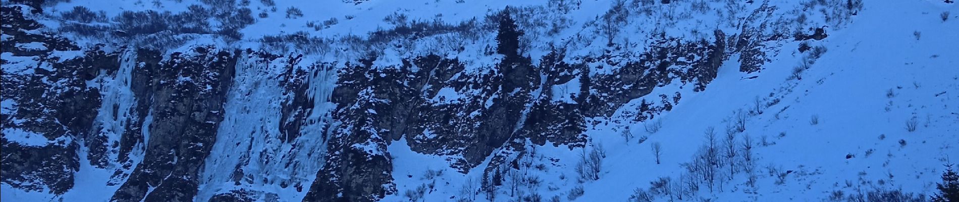 Tocht Stappen Gemeinde Mellau - winterwanderweg - Photo