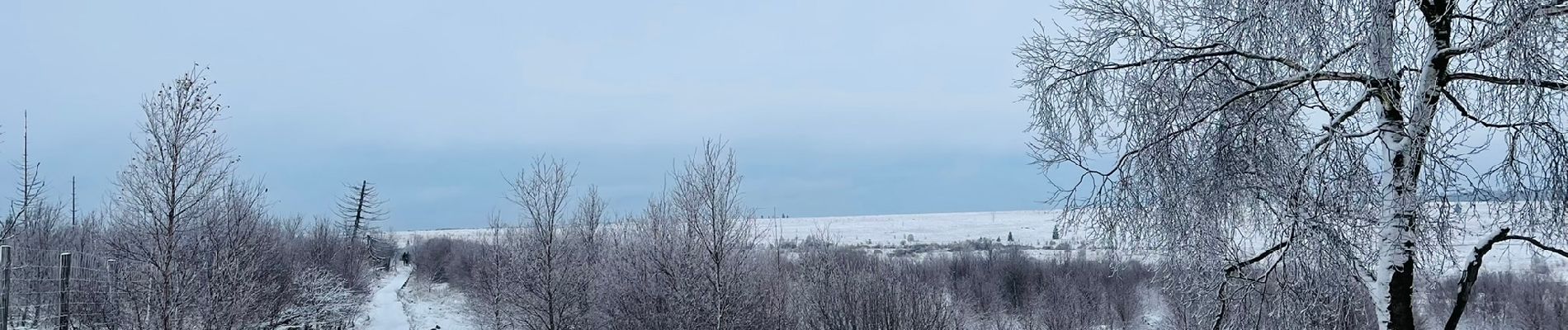 Trail Walking Waimes - La grande ronde des Fagnes à Waimes - Photo