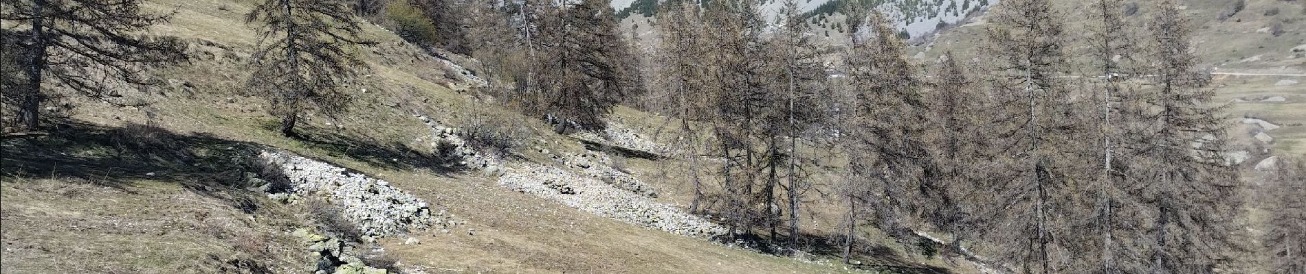 Percorso Sci alpinismo Le Monêtier-les-Bains - La pointe de L'etandard - Photo