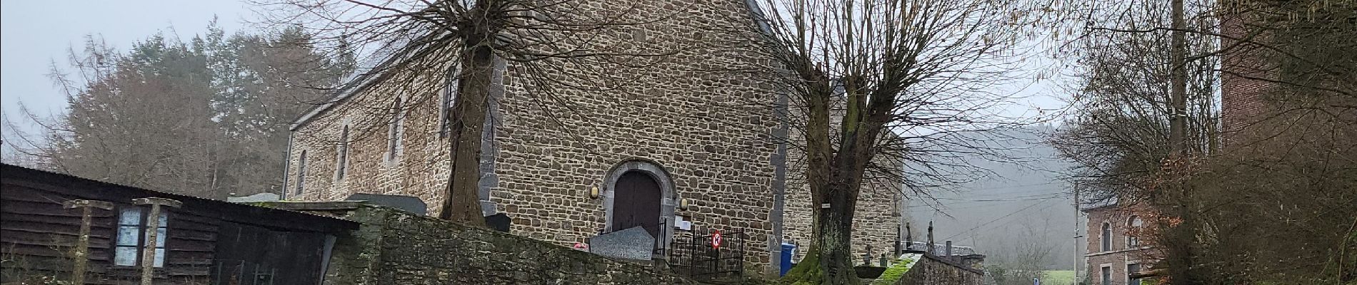 Excursión Senderismo Nassogne - Masbourg 250124 - Photo