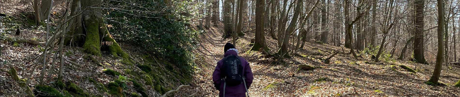 Trail On foot Andenne - Ohey coutisse Haillot - Photo