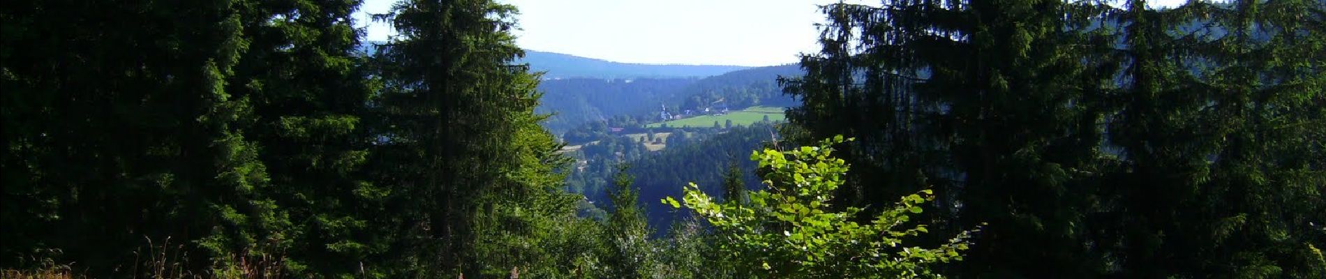 Percorso A piedi Warmensteinach - Warmensteinach Rundwanderweg Nr. 8 - Photo