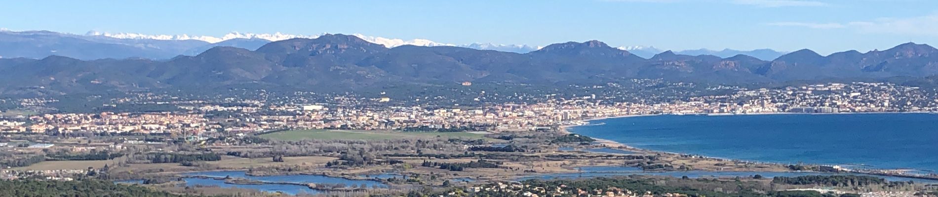 Randonnée Marche Roquebrune-sur-Argens - La gallard - Photo