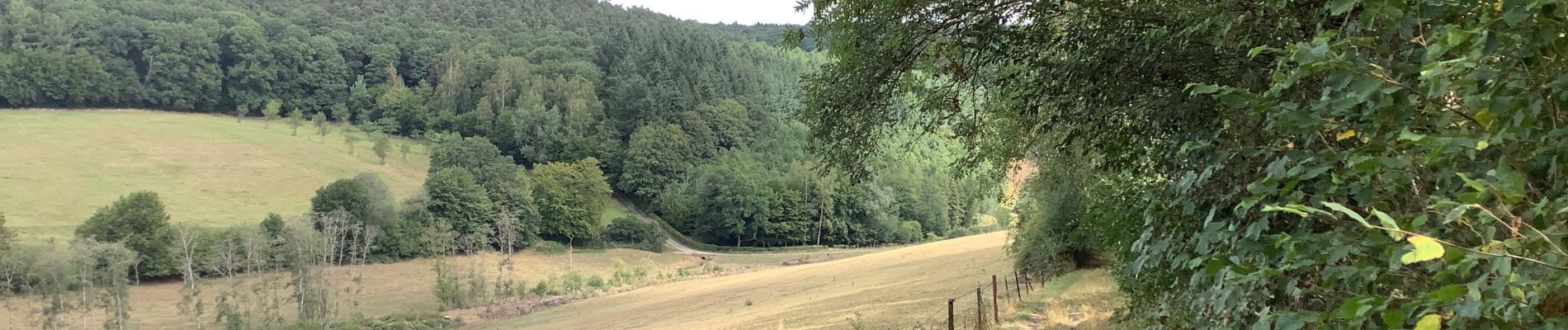 Randonnée Marche Assesse - Sorinne la longue - faux les tombes - Gesves  - Photo