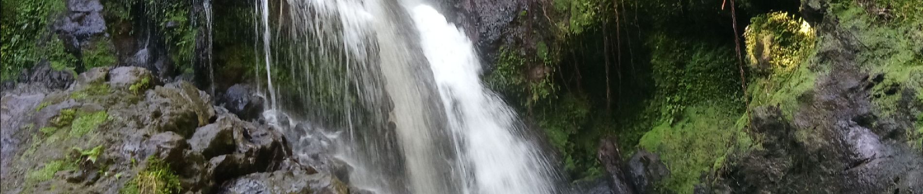 Tour Wandern Goyave - cascade bras de fort - Photo