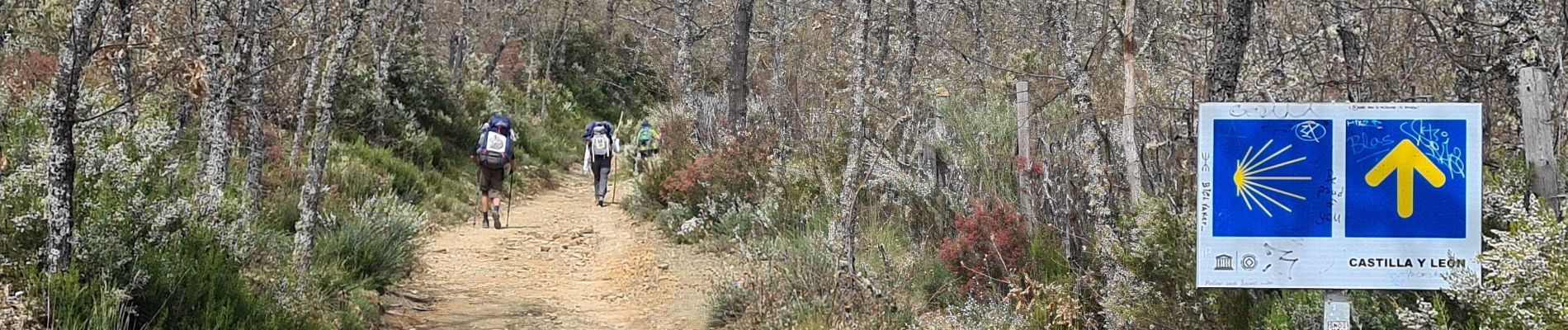 Tocht Stappen Astorga - Murias Rabannal - Photo