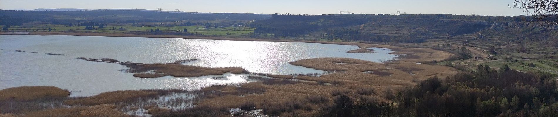 Tour Zu Fuß Port-de-Bouc - Forêt de Castillon Etangs de Pourra et d’Engrenier - Photo