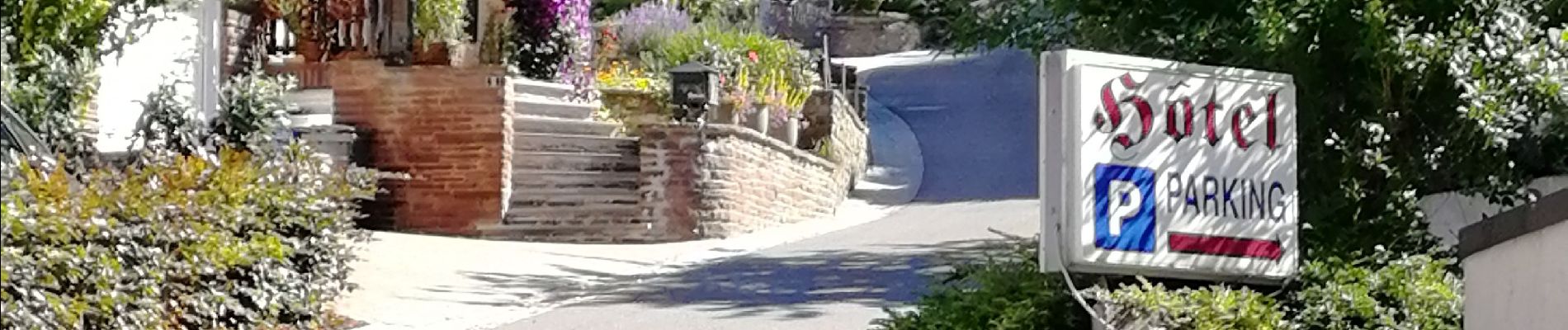 Randonnée Marche Vianden - Randonnée au  Natuurpark à partir de Vianden - Photo