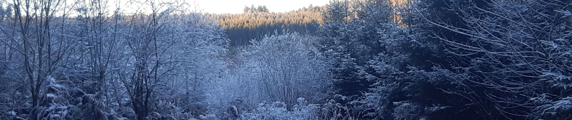 Tocht Stappen Vielsalm - petit tour au nord de Fraiture  - Photo