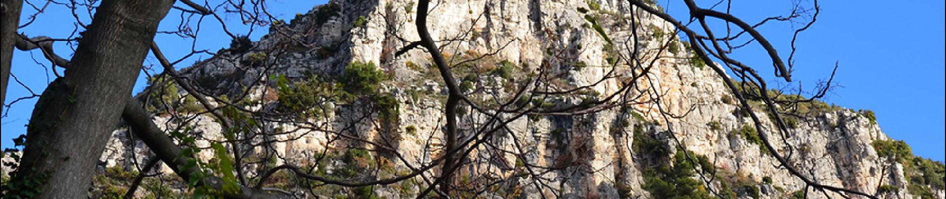 Randonnée Marche Saint-Jeannet - St Jeannet - Baou de St Jeannet - Bau de la Gaude - Gros Chêne - Photo