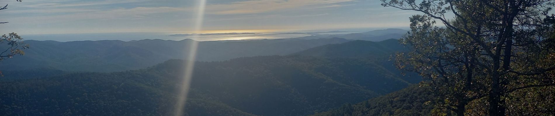 Tour Wandern Pignans - Notre Dame des Anges 768m 26.11.23 - Photo